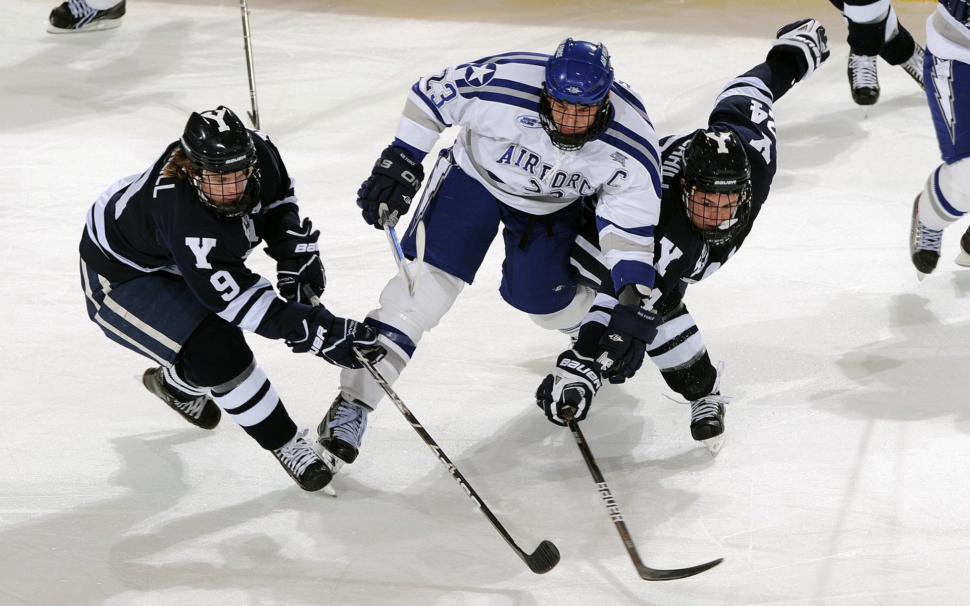 KPL现场观赛人数冲击世界纪录,电竞“票根经济”升温